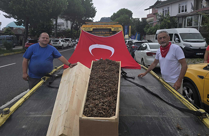 Üretici, tabuta koyduğu fındığın “cenaze”sini kaldırdı!