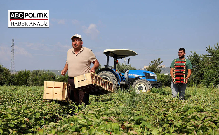 Tarım maliyetleri asgari ücreti yeniden tartışma konusu yaptı